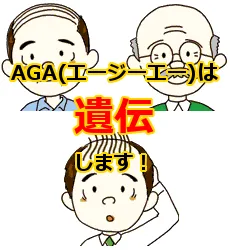 AGAは遺伝する