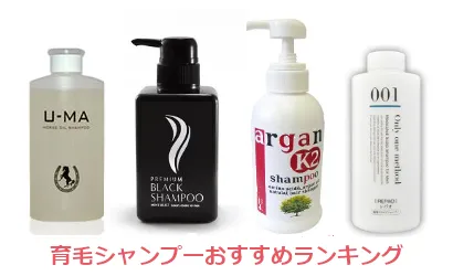 育毛シャンプーおすすめランキング